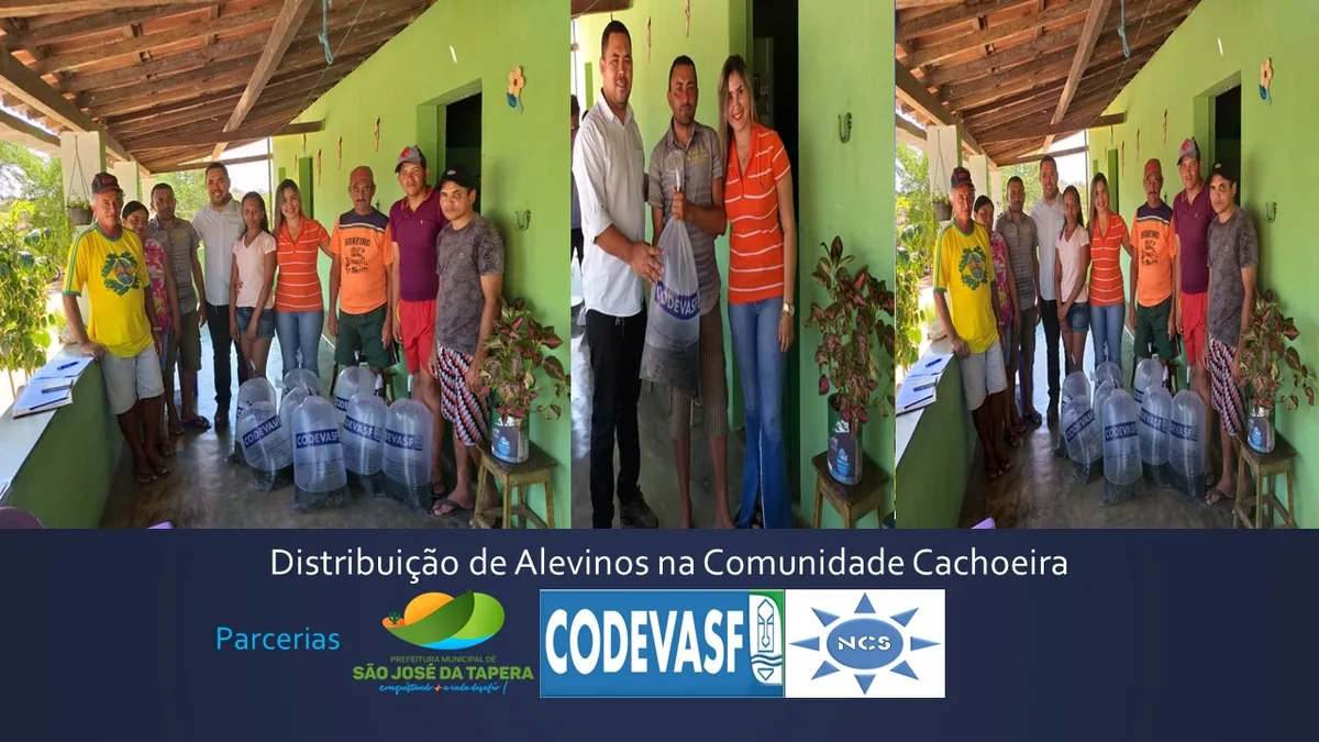 Entrega de alevinos na comunidade Cachoeira, em parceria com a Prefeitura de São José da Tapera e a CODEVASF